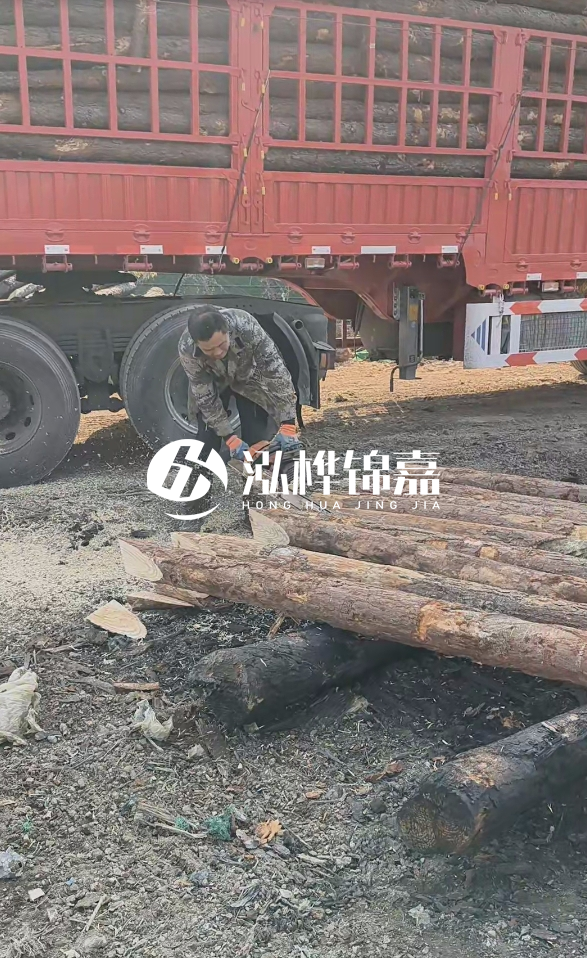 2米松木樁多少錢一根？15-20CM直徑價格是多少？