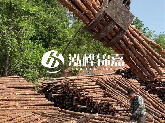 哪里能買到優(yōu)質(zhì) 3 米松木樁？長沙有松木樁批發(fā)工廠嗎？
