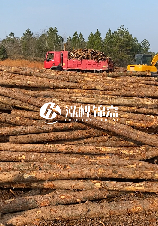 8米小頭11-13CM的松木樁價格是多少？打樁施工怎么算？