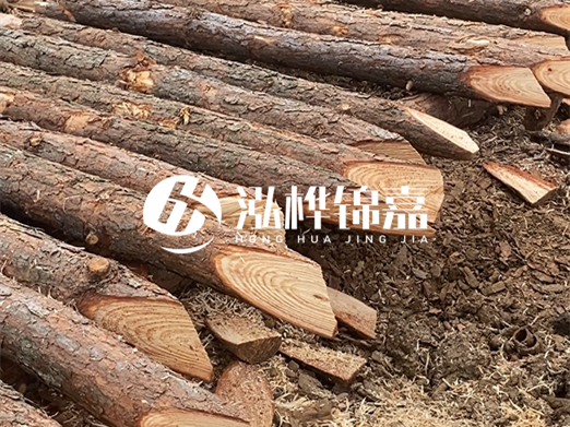 松木樁削尖的費用怎么算？按根收費還是包含在單價里？