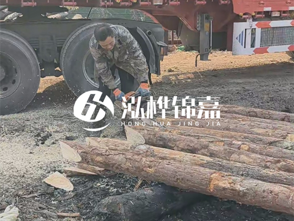松木圓木價格大概多少一方-松木樁廠家按方可以賣嗎？