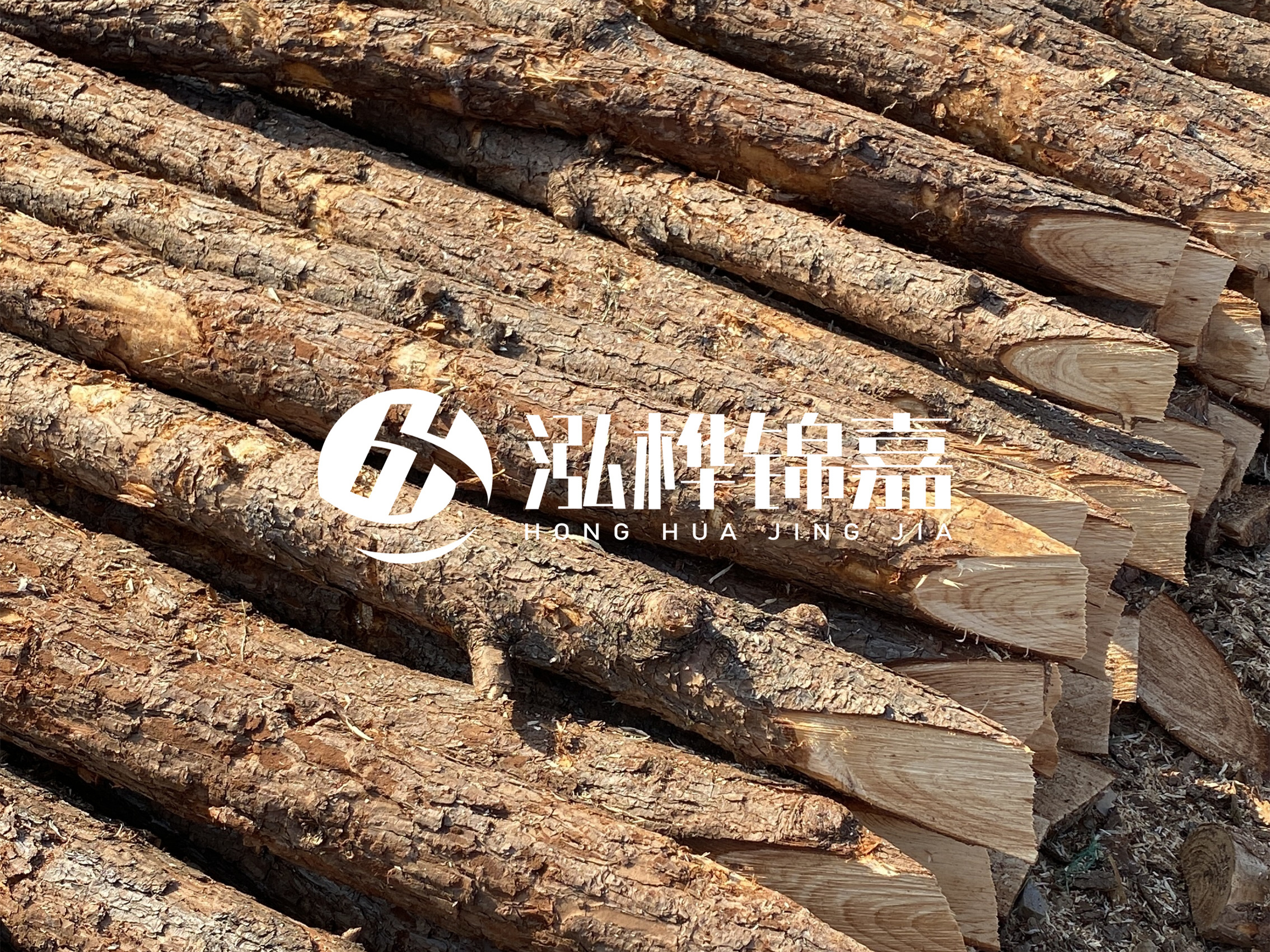 8 米超大直徑松木樁的價格是多少？帶皮和去皮松木樁價格差多少？