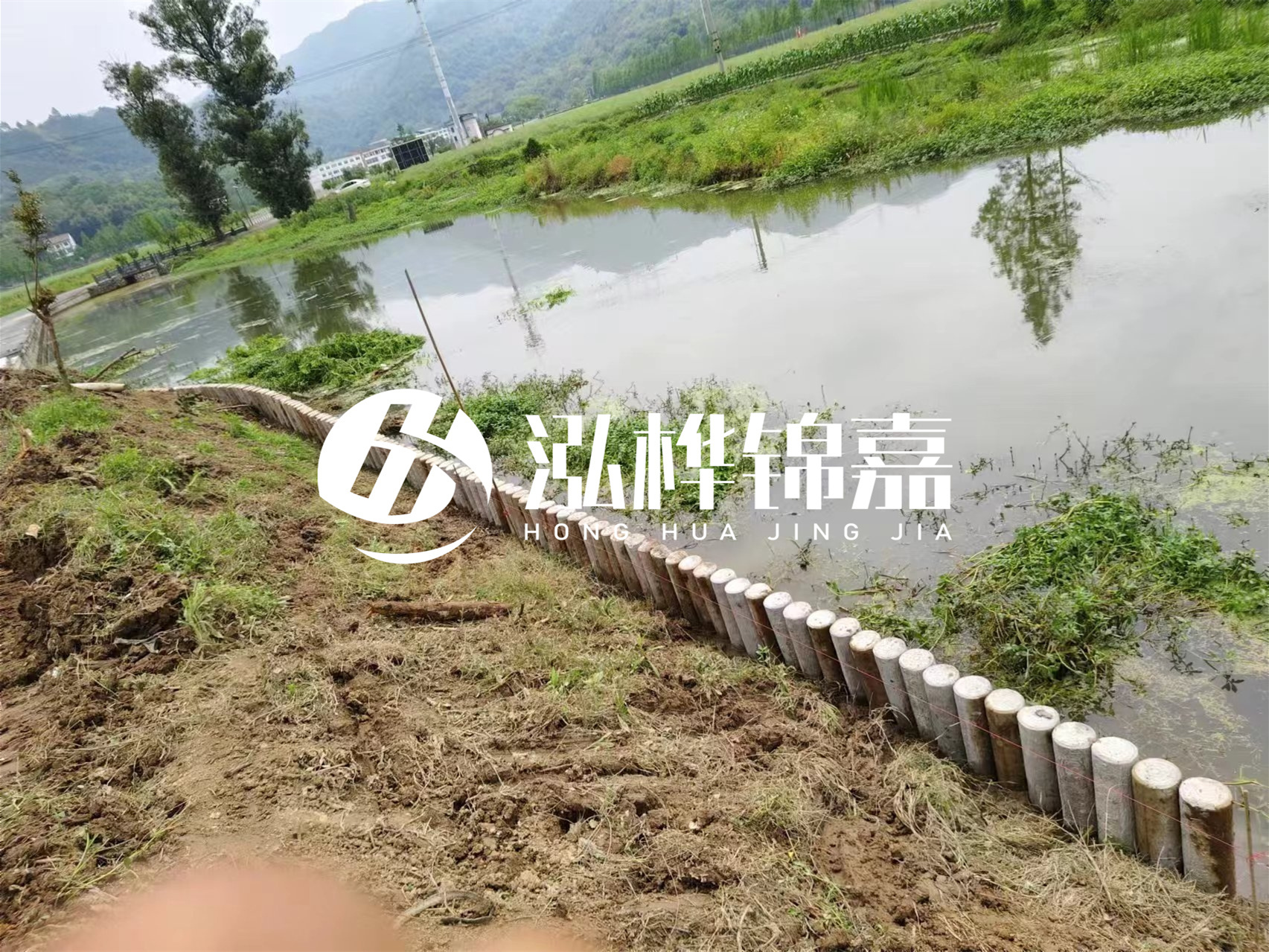 松木樁加固河道與水泥樁對比如何？哪一種更加適合您？