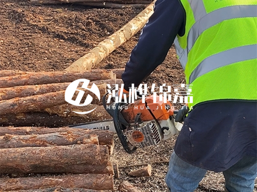 河道打木樁多少錢(qián)一根？5米直徑10松木樁打樁多少錢(qián)？