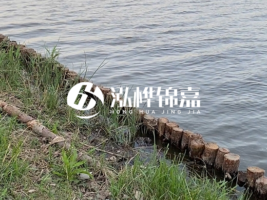防洪松木樁施工重要性？河道打木樁的位置怎么確定？