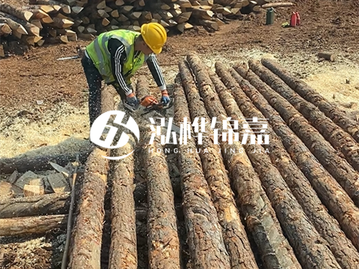 松木樁批發(fā)廠家泓樺錦嘉-河道打樁木施工中怎么防止樁頭被打壞？