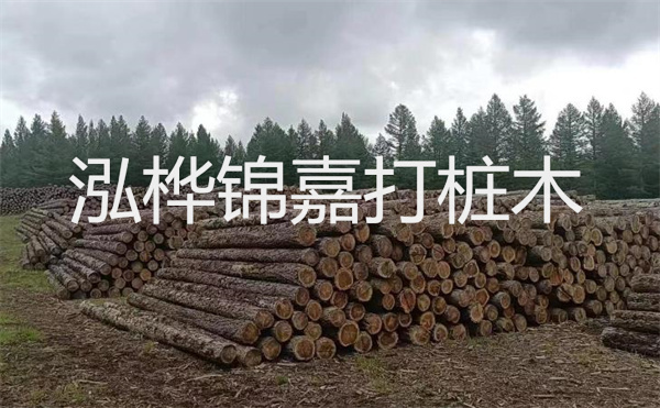 選擇紅磚護(hù)坡，打造獨(dú)特的美麗景觀