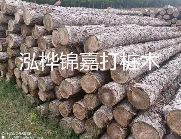 高效修補(bǔ)，保駕護(hù)航！水泥路面高強(qiáng)度修補(bǔ)料為您解決煩惱！
