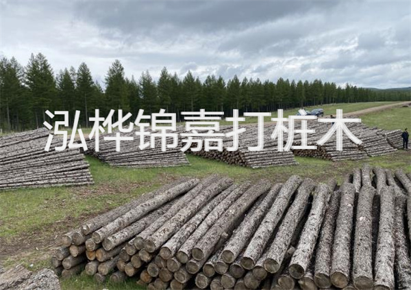 鋼結(jié)構(gòu)施工方案大全免費(fèi)提供，助力工程建設(shè)